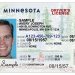 Understanding Your Driving License
