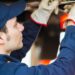 Supporting Your Showroom With Automotive Fixed Operations Magazine