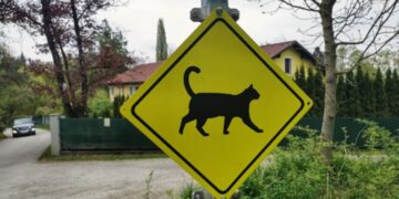 Yellow Signs: What Every Driver Should Know About Cautionary Signals
