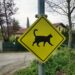 Yellow Signs: What Every Driver Should Know About Cautionary Signals